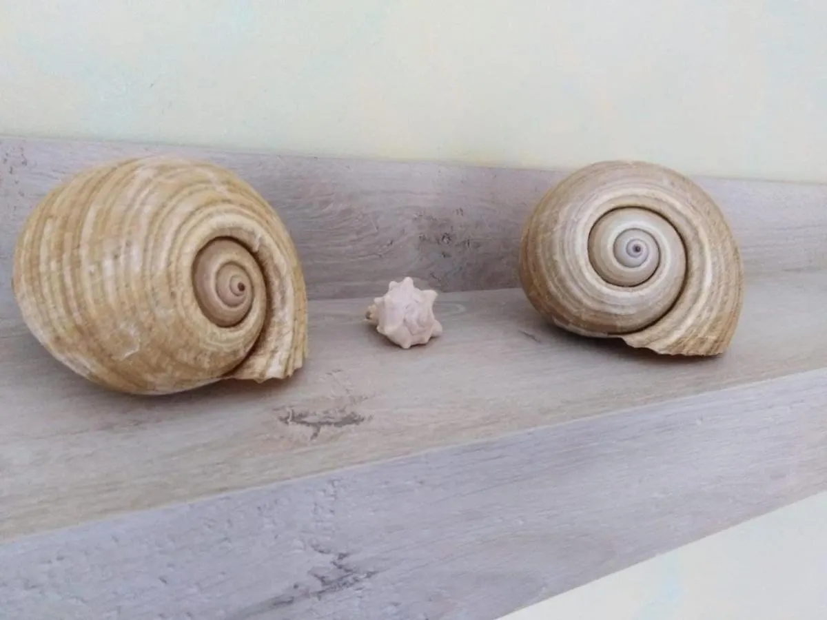Casa Vacanza Salgio Riposto Italy